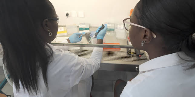 20:15: Afrika – Power-Kontinent im Aufbruch | 3SAT | 1/22 2026