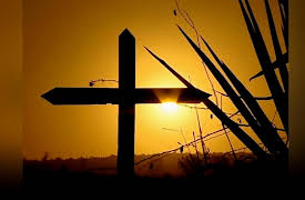 Lemur Street: Life and Death