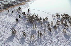 Growing Up: Episode 10