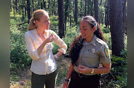 Travels with Darley: Southern States Road Trip