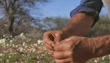 Guldjägarna i Australien (S5 E3)