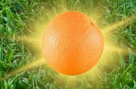 Guillermo And Will: Season 1: Orange / Naranja