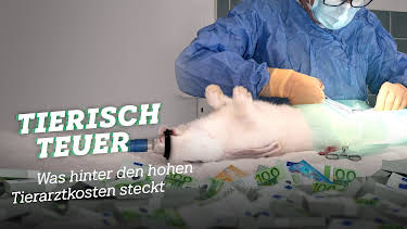 12:15: Tierisch teuer | Tagesschau 24 | 9/13 2026