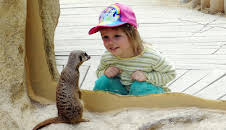 Unterwegs in Sachsen