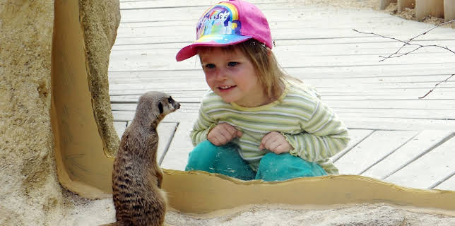 18:15: Unterwegs in Sachsen | MDR Fernsehen | 2/14 2026