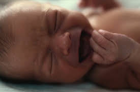 The Man with 1000 Kids: Episode 2