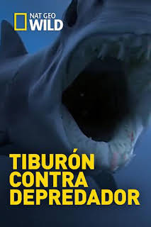 18:50: Tiburón contra depredador | Nat Geo Wild | 4/2 2026