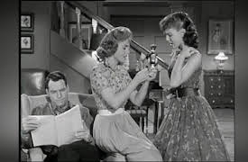 The Donna Reed Show: Have Fun
