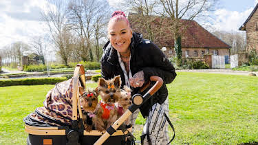 10:20: Haustierprofis (5/15) | WDR Fernsehen | 4/17 2026