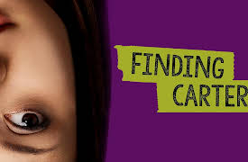 Finding Carter Season 1: Love Story