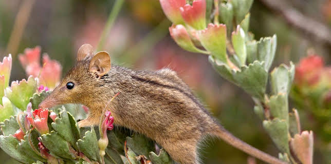 11:50: Abenteuer Wildnis | BR Fernsehen | 1/22 2026