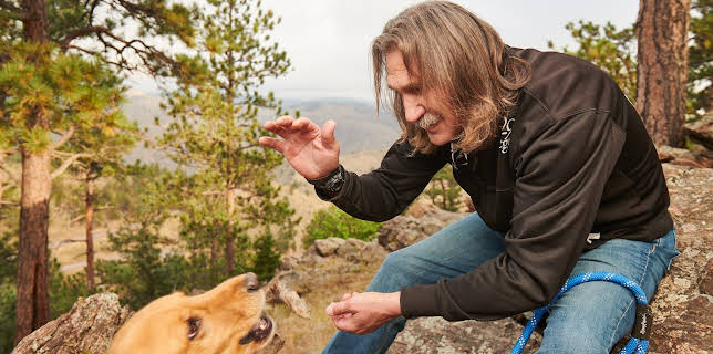 18:00: Dyrlegen i Rocky Mountain (S5 E13) (S5) | Animal Planet | 11/13 2025