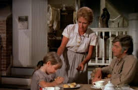 The Waltons: The Complete First Season: The Foundling
