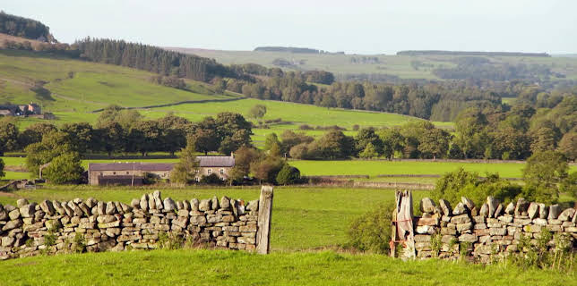 04:25: En plats på landet (S31 E3) (S31) | TV8 | 1/8 2026