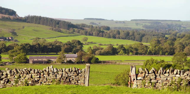 Escape to the Country