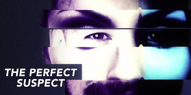 The Perfect Suspect Season 1