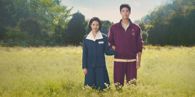 When Life Gives You Tangerines