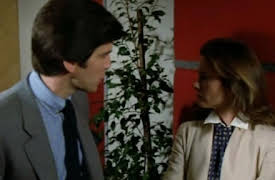 Remington Steele Season 1: Vintage Steele
