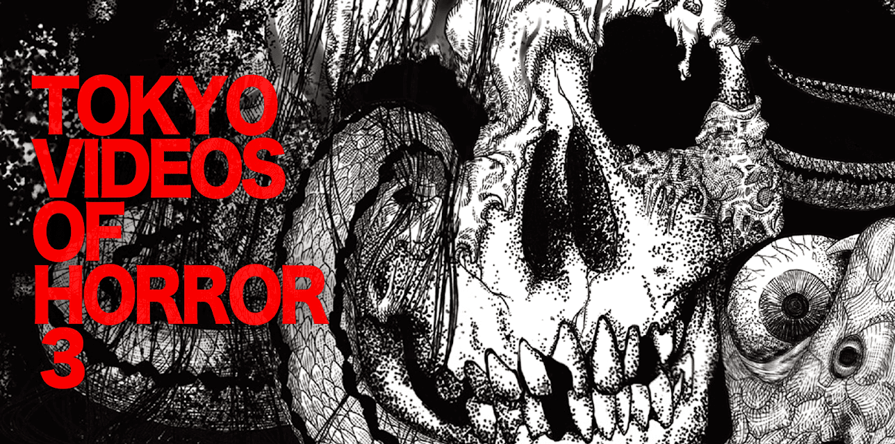 Tokyo Videos of Horror 3 (2012)