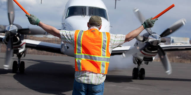 21:00: Flying Wild Alaska (S2 E7) (S2) | Animal Planet | 1/20 2026