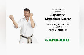 Shotokan Karate: Advanced Kata, Volume Two: Shotokan Karate Kata:  Gankaku