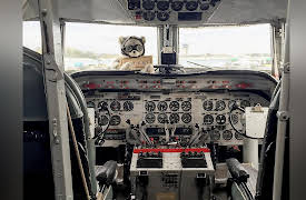 What History Forgot Season 1: Rebels With A Cause