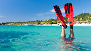 12:36: How It's Made (S24 E25) (S24) | Discovery Science | 12/21 2025