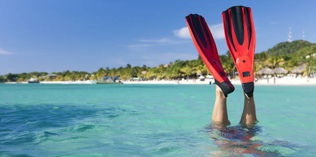 19:45: How It's Made (S24 E25) (S24) | Discovery Science | 11/2 2025