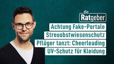 08:20: Die Ratgeber | HR Fernsehen | 9/9 2026