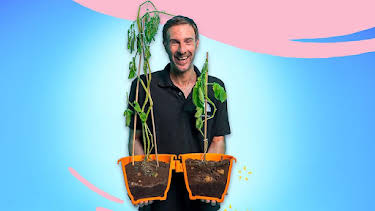 10:45 AM: What’s in Your Plant Pot? (S1) | Cbeebies | 6/22 2026