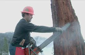 Ax Men Season 1: Black Friday