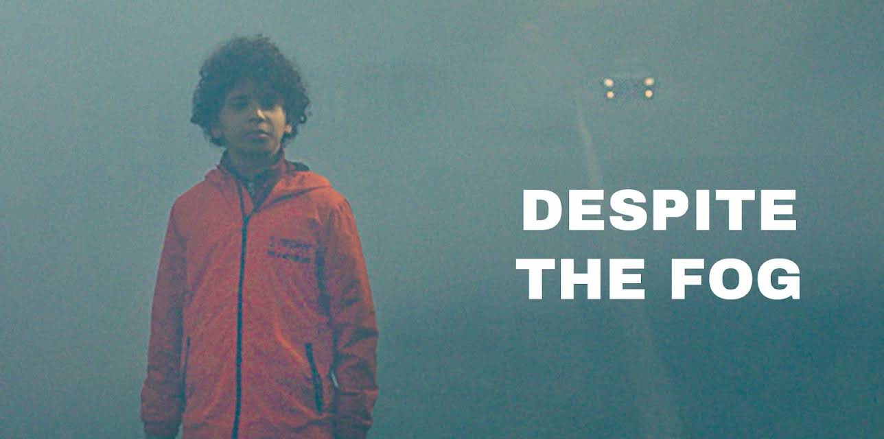Despite The Fog (2019)
