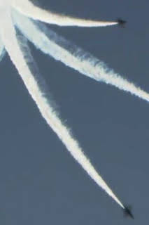 07:30: ¿Cómo lo hacen?: Blue Angels, Ski Dome y pescado fresco | Discovery Max | 8/31 2026