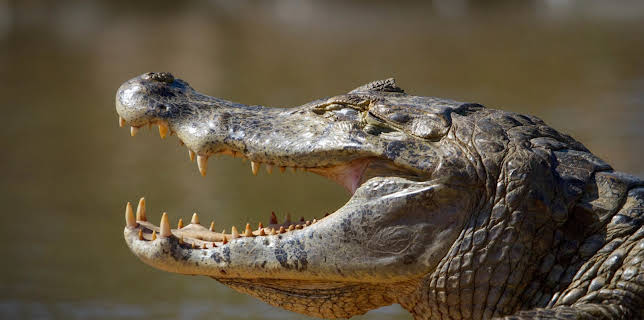 07:20: Eine Erde - viele Welten | ZDFneo | 11/16 2025