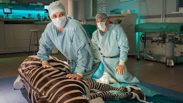 08:45: Tierärztin Dr. Mertens (103) | MDR Fernsehen | 3/30 2026