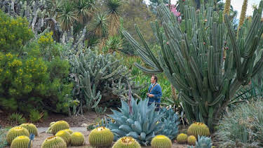 8:45 AM: Around the World in 80 Gardens | BBC Two | 8/22 2026