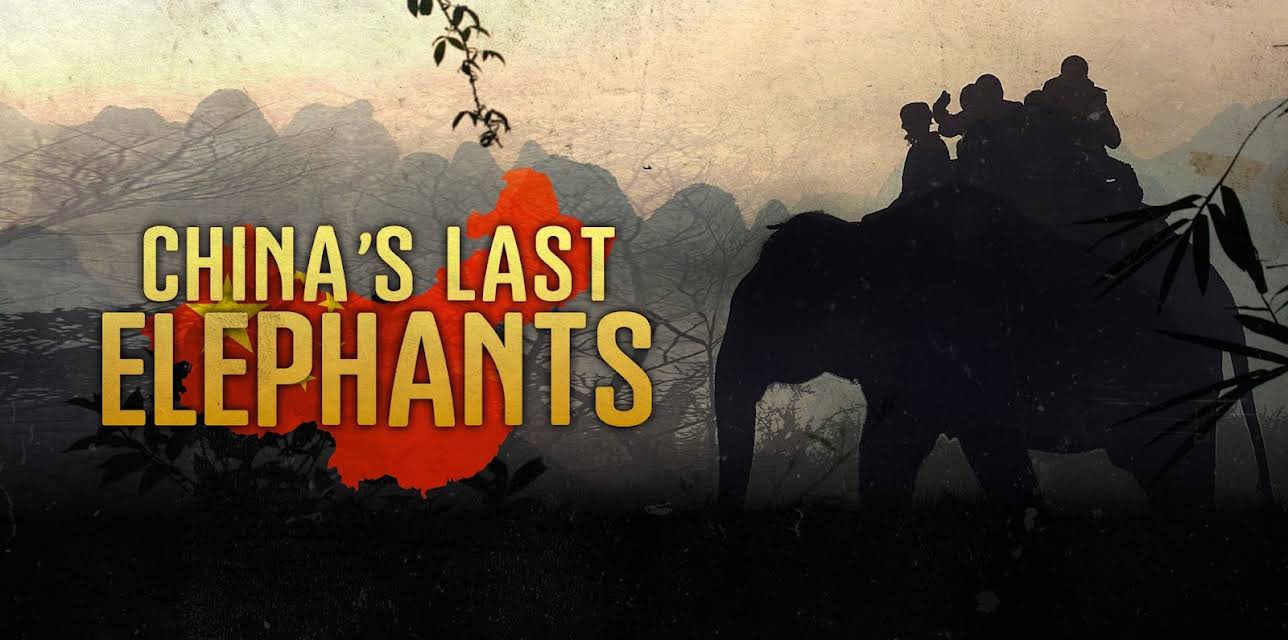 China's Last Elephants (2009)