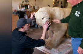 Mounted in Alaska Season 1: Growlin' and Howlin