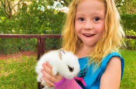 Like Nastya: Nastya's Festive Fun: Princess Lessons, Halloween Treats, and Foam Fun