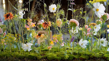 15:30: Hygge i hagen: Pyntekorg og inspeksjon | NRK 2 | 4/2 2026