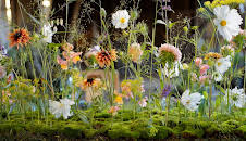 Hygge i hagen: Pyntekorg og inspeksjon