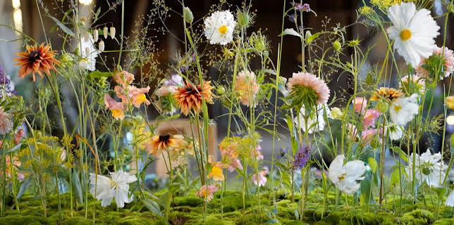 08:55: Hygge i hagen: Pyntekorg og inspeksjon | NRK 2 | 11/1 2025