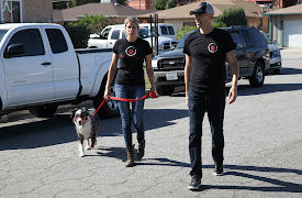 Dog: Impossible: House Unrest