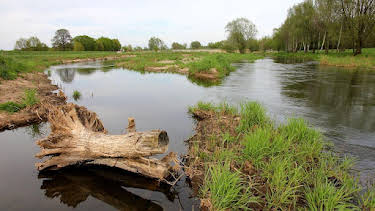 22:15: rbb24 Reportage: Wildnis statt Spreewald? | RBB Fernsehen | 6/3 2026