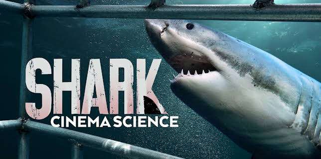 Shark Cinema Science (2022)