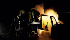 Auf Streife - Die Spezialisten