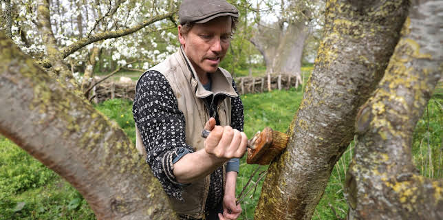 11:10: Det gode bondeliv: Møkkajobb | NRK 2 | 11/2 2025