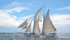 die nordstory - Phoenix aus der Elbe