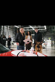 19:54: Hudson y Rex (T2): Ep.8 Rex Machina | AXN | 9/22 2026