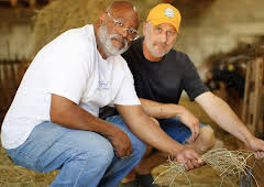 The Great B&B Challenge